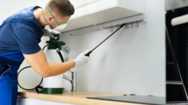 ev ilaçlama firmaları